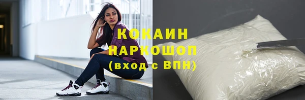 индика Бугульма