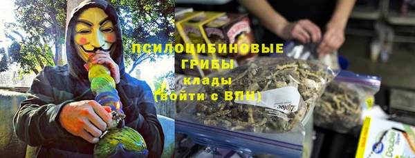 прущие крисы Бородино