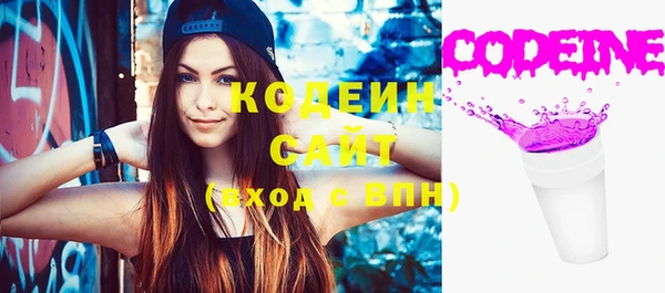 индика Бугульма