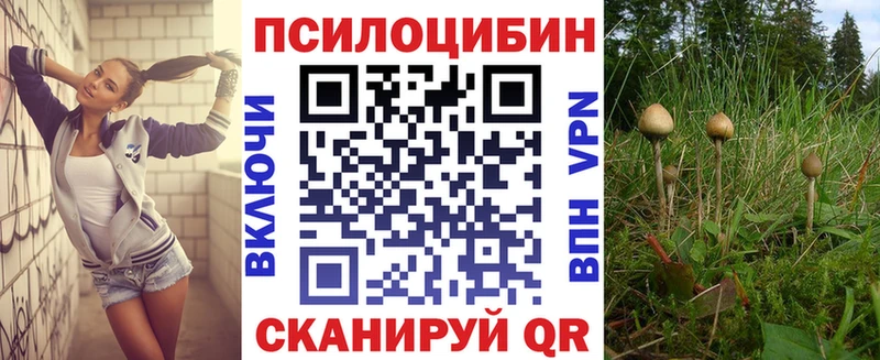 Псилоцибиновые грибы прущие грибы  Купить где  Певек 